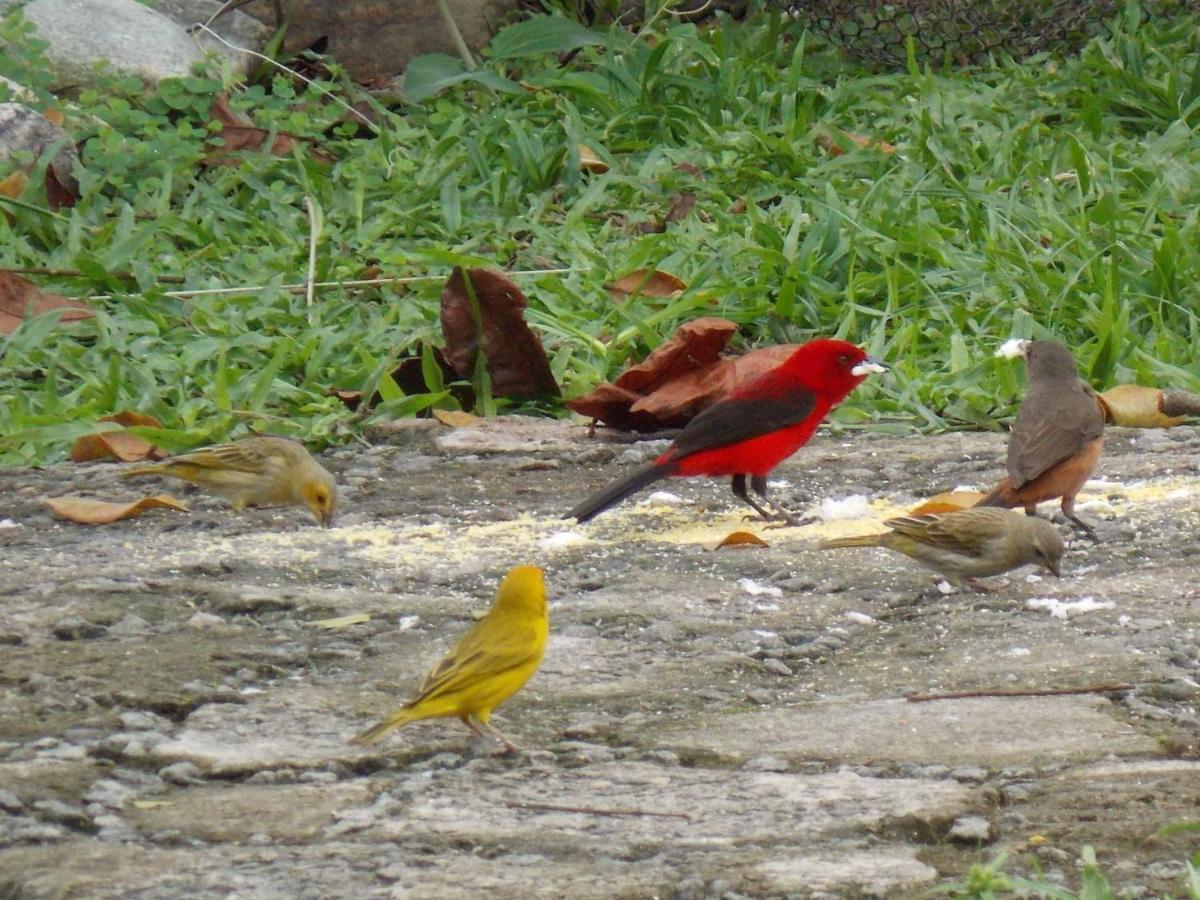 Pousada Entre Paraisos Angra dos Reis Buitenkant foto